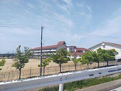 津幡町立条南小...