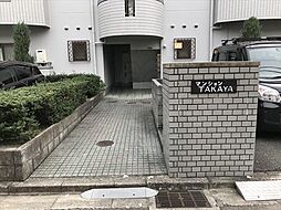3 / 16