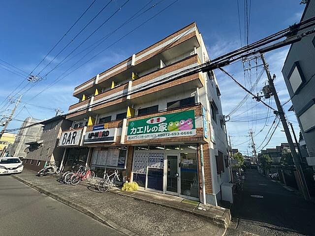 6 / 11