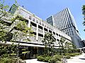 東京医科大学病...