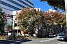 周辺：ヨークフーズ(阿佐谷店)の外観