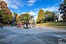 周辺：江古田の森公園の外観