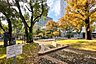 周辺：中野四季の森公園の外観
