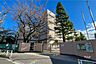 周辺：高井戸東小学校[公立]の外観