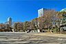 周辺：新宿中央公園の外観
