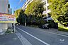 その他：敷地の南側前面道路（東側から）