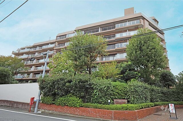 外観 杉並和田ハイム 8階/-