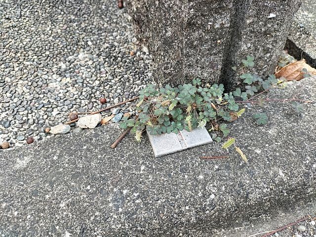 その他 高知市春野町南ケ丘7丁目