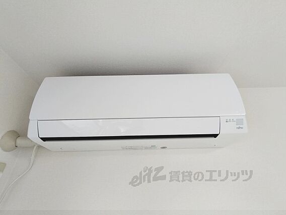 セントポーリアB_その他_3