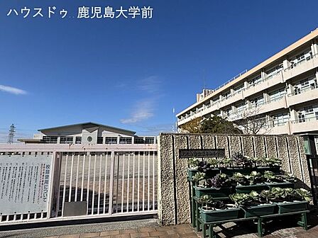 鹿児島市立草牟田小学校 650m