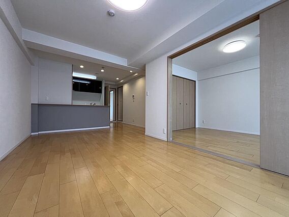 リビング/ダイ...