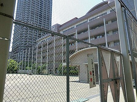中央区立晴海中学校 徒歩7分。 540m