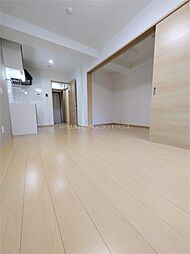 IRMS III 1LDKの写真