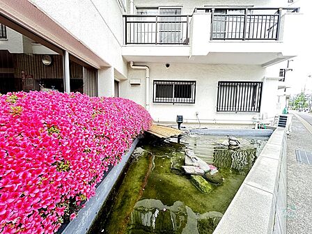 仕事帰りや買い物の行き帰りに、愛らしいカメの姿を眺めるだけでホッと一息。敷地内だからこそ、遠出をしなくても毎日の暮らしの中で自然な癒やしを感じられます。
