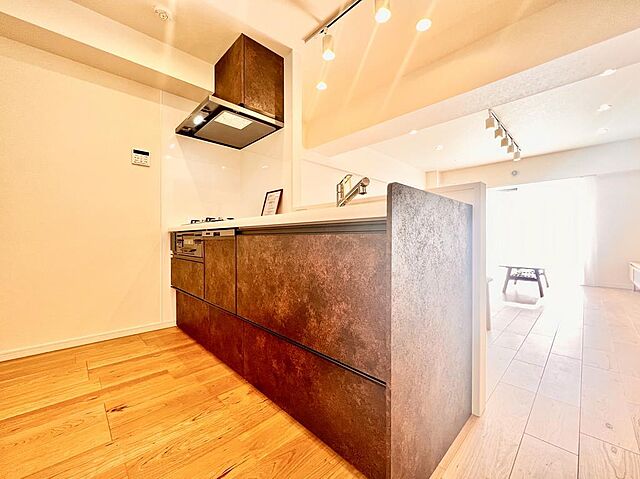 キッチン 門前仲町サマリヤマンション 10階/-