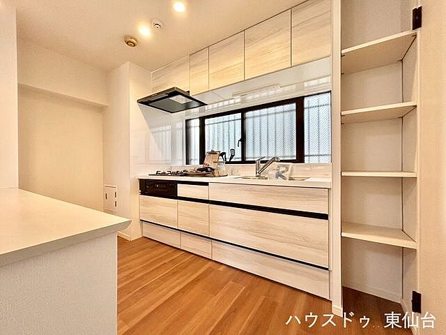 キッチン 朝日プラザ五橋II 10階/-