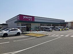 ラシュレ楡木