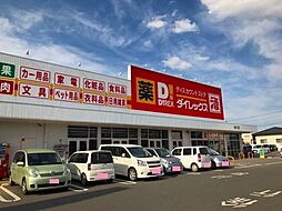 ノースリリー楠野