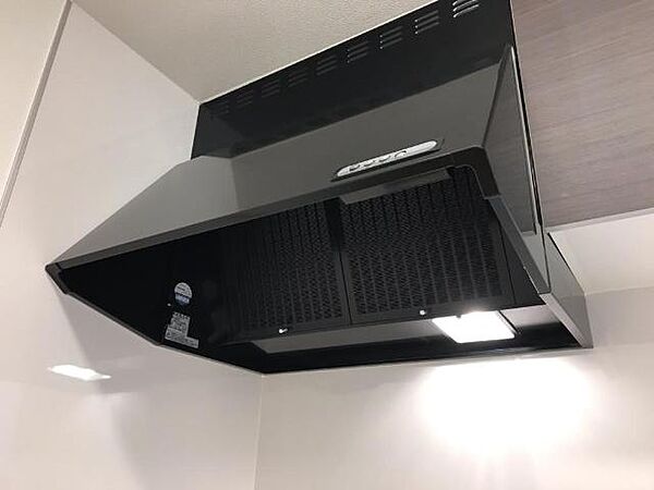 サザンクロスIII