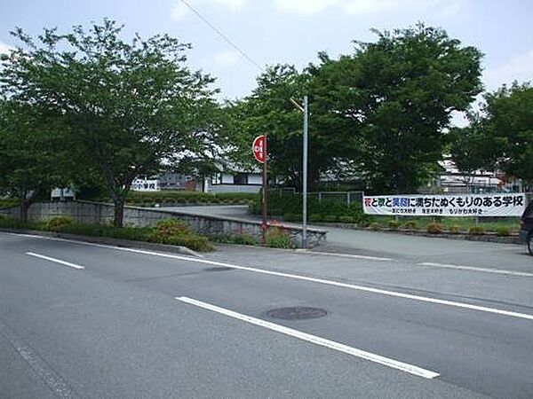サザンクロスIII