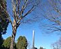 周辺：双葉台公園（400m）
