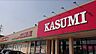 周辺：カスミ日立豊浦店（1300m）