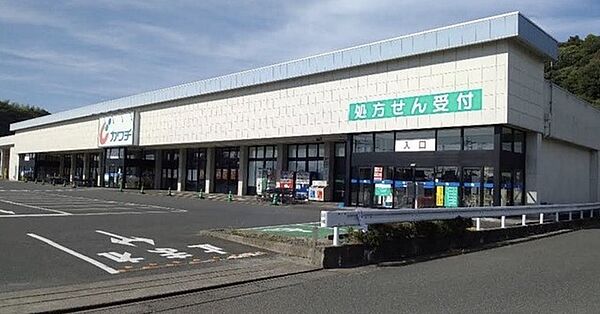 周辺を拡大表示