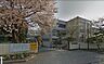 周辺：水戸市立千波小学校（1600m）