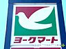 周辺：ヨークマート藤原店（1100m）