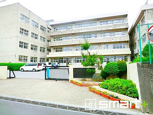 周辺 松戸市六高台8丁目