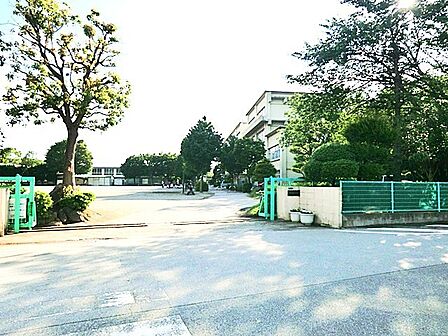 柏第八小学校（800m）