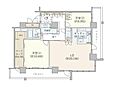 ブランズタワー・ウェリス心斎橋NORTH36階29,000万円