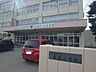 周辺：札幌市立東光小学校 780m