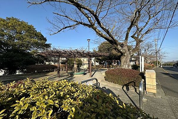 周辺を拡大表示