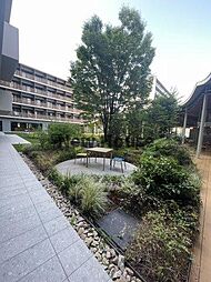 庭