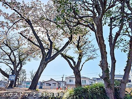 四葉公園公園の改修工事が予定されており、今後さらに整備された快適な住環境が期待できるエリアです。遊具や設備の充実により、お子様連れのご家庭にも嬉しい環境が整います。 570m