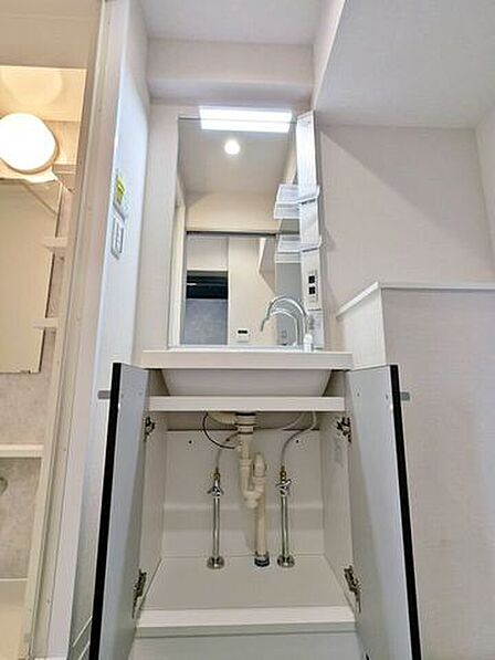 洗面台の下部収納を開けた様子。洗面まわりの収納スペースを確認できます。
