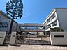周辺：板橋区立上板橋第四小学校 900m