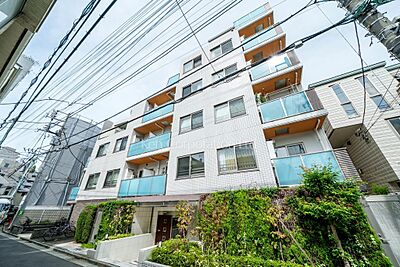 外観：外観ひき