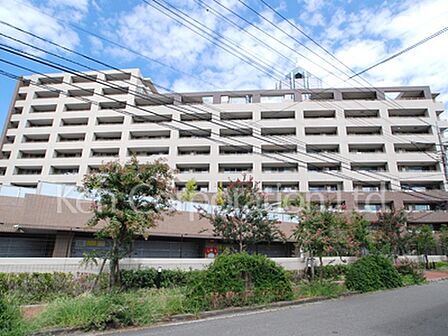 外観ひき