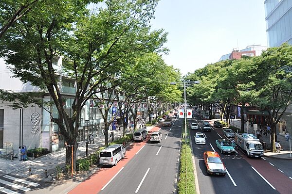周辺を拡大表示