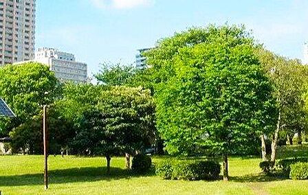 都立青山公園 徒歩26分。 2030m
