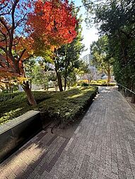 その他現地