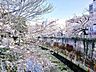 その他：神田川沿いの立地で、春には満開の桜が楽しめます。
