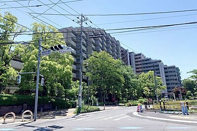 外観：都営新宿線「大島」駅から徒歩約17分。閑静な佇まいの総戸数583戸14階建大規模マンション。