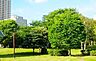 周辺：都立青山公園 徒歩18分。 1380m