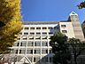 周辺：千代田区立千代田小学校 徒歩13分。 1000m