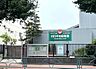 周辺：目白平和幼稚園 徒歩5分。 350m