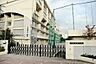 周辺：江東区立深川第八中学校 徒歩36分。 2830m
