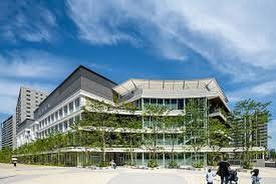 周辺 パークタワー勝どきミッド 19階/1901